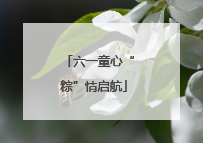 六一童心“粽”情启航