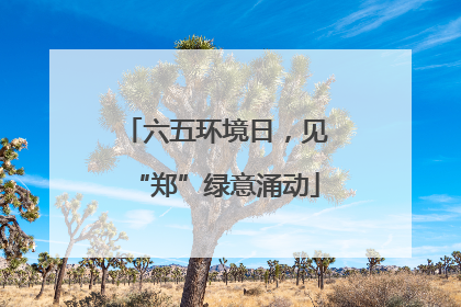六五环境日，见“郑”绿意涌动