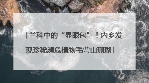 兰科中的“显眼包”！内乡发现珍稀濒危植物毛萼山珊瑚