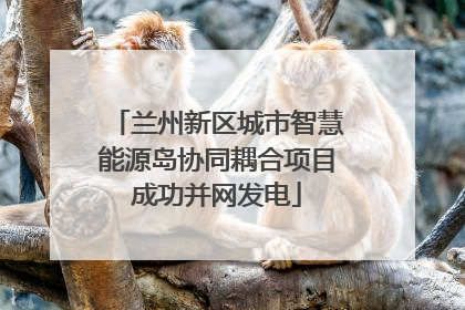 兰州新区城市智慧能源岛协同耦合项目成功并网发电