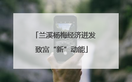 兰溪杨梅经济迸发致富“新”动能