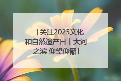 关注2025文化和自然遗产日丨大河之滨 仰望仰韶