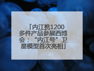 内江携1200多件产品参展西博会：“内江号”卫星模型首次亮相