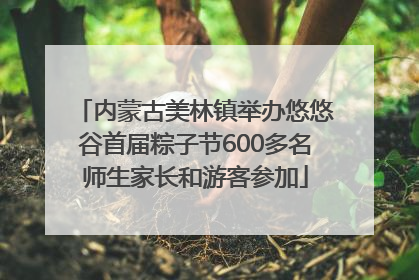 内蒙古美林镇举办悠悠谷首届粽子节600多名师生家长和游客参加