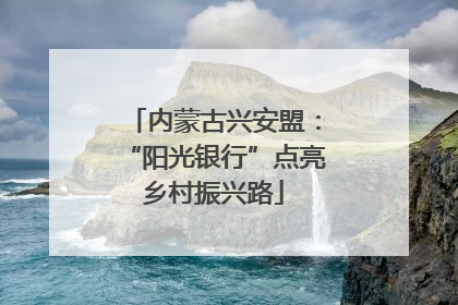 内蒙古兴安盟：“阳光银行”点亮乡村振兴路