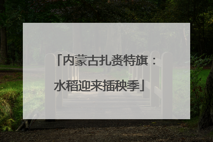 内蒙古扎赉特旗：水稻迎来插秧季