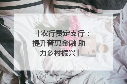 农行贵定支行：提升普惠金融 助力乡村振兴