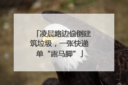 凌晨路边偷倒建筑垃圾，一张快递单“露马脚”