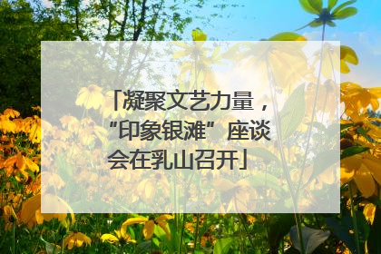 凝聚文艺力量，“印象银滩”座谈会在乳山召开