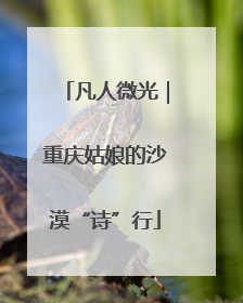 凡人微光｜重庆姑娘的沙漠“诗”行