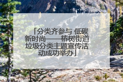分类齐参与 低碳新时尚——椿树街道垃圾分类主题宣传活动成功举办