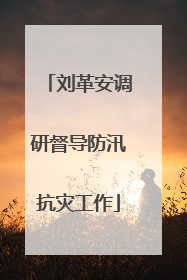 刘革安调研督导防汛抗灾工作