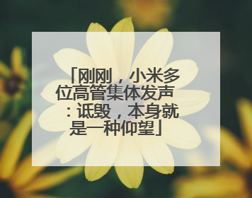 刚刚，小米多位高管集体发声：诋毁，本身就是一种仰望