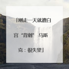 刚走一天就遭白宫“背刺” 马斯克：很失望