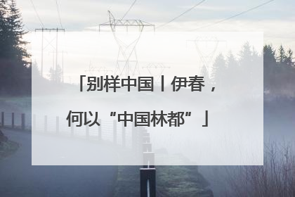 别样中国丨伊春，何以“中国林都”