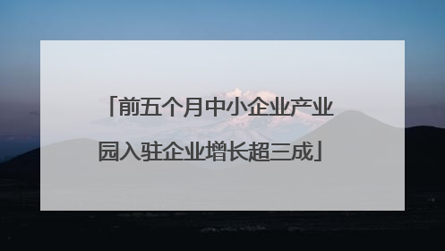 前五个月中小企业产业园入驻企业增长超三成