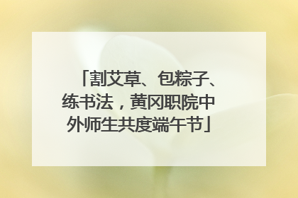 割艾草、包粽子、练书法，黄冈职院中外师生共度端午节