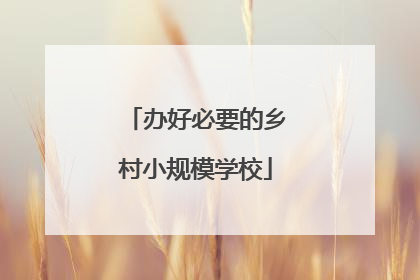 办好必要的乡村小规模学校