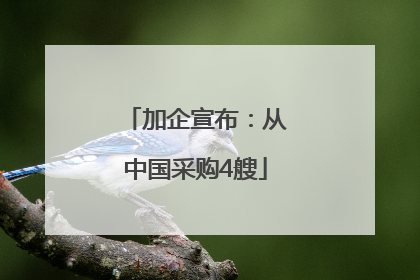 加企宣布：从中国采购4艘