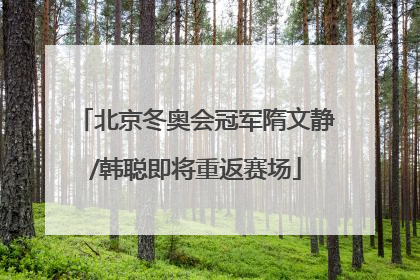 北京冬奥会冠军隋文静/韩聪即将重返赛场