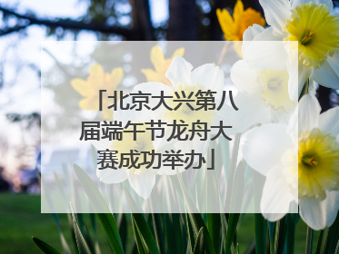北京大兴第八届端午节龙舟大赛成功举办