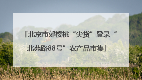北京市郊樱桃“尖货”登录“北苑路88号”农产品市集