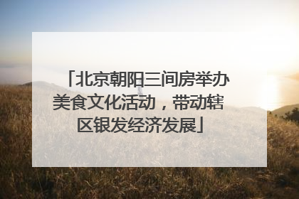 北京朝阳三间房举办美食文化活动，带动辖区银发经济发展