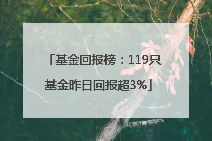 基金回报榜：119只基金昨日回报超3%