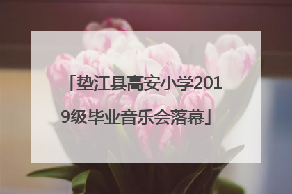垫江县高安小学2019级毕业音乐会落幕