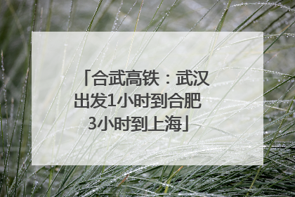合武高铁：武汉出发1小时到合肥3小时到上海