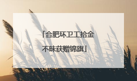 合肥环卫工拾金不昧获赠锦旗