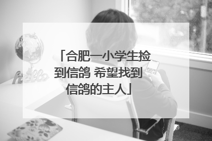 合肥一小学生捡到信鸽 希望找到信鸽的主人