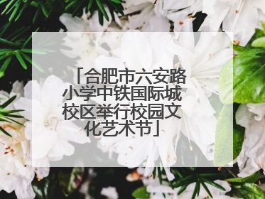 合肥市六安路小学中铁国际城校区举行校园文化艺术节