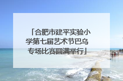 合肥市建平实验小学第七届艺术节巴乌专场比赛圆满举行