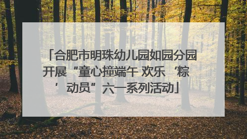 合肥市明珠幼儿园如园分园开展“童心撞端午 欢乐‘粽’动员”六一系列活动