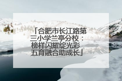 合肥市长江路第三小学兰亭分校：榜样闪耀绽光彩 五育融合助成长