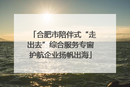 合肥市陪伴式“走出去”综合服务专窗护航企业扬帆出海