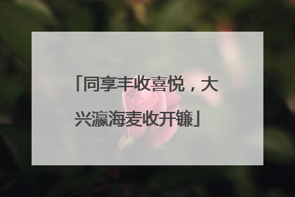 同享丰收喜悦，大兴瀛海麦收开镰