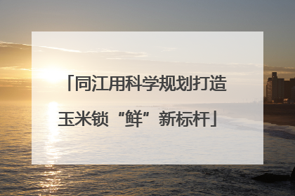 同江用科学规划打造玉米锁“鲜”新标杆