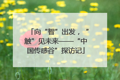 向“智”出发，“触”见未来——“中国传感谷”探访记