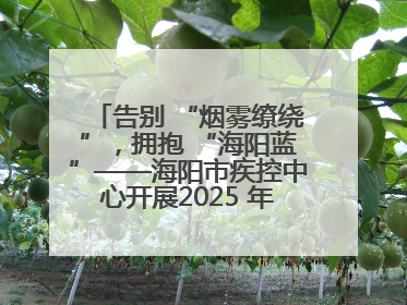 告别 “烟雾缭绕”，拥抱 “海阳蓝”——海阳市疾控中心开展2025 年无烟宣传“海阳特色”实践记录