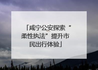 咸宁公安探索“柔性执法”提升市民出行体验