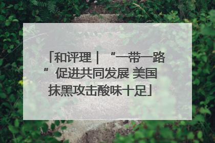 和评理｜“一带一路”促进共同发展 美国抹黑攻击酸味十足