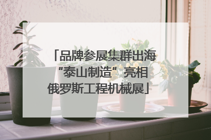 品牌参展集群出海 “泰山制造”亮相俄罗斯工程机械展