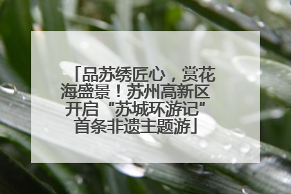 品苏绣匠心，赏花海盛景！苏州高新区开启“苏城环游记”首条非遗主题游