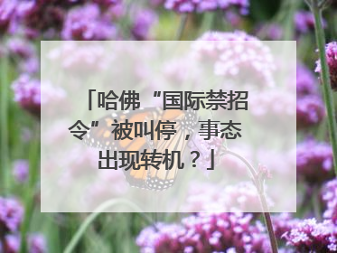 哈佛“国际禁招令”被叫停，事态出现转机？