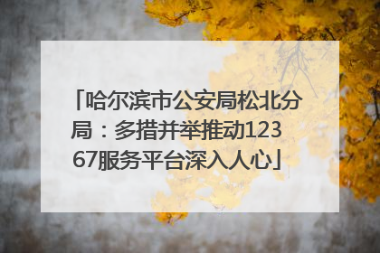 哈尔滨市公安局松北分局：多措并举推动12367服务平台深入人心