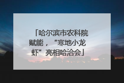 哈尔滨市农科院赋能，“寒地小龙虾”亮相哈洽会