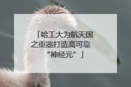 哈工大为航天国之重器打造高可靠“神经元”