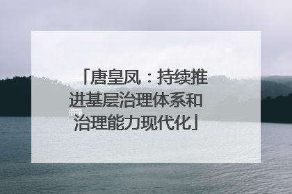 唐皇凤：持续推进基层治理体系和治理能力现代化